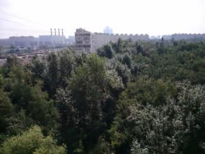 Обзор Sony Xperia Z Ultra. Пример фотографии