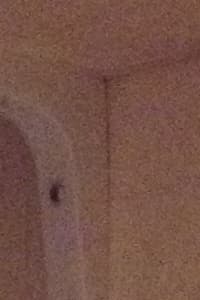 Снимок на смартфон Apple iPhone 4S