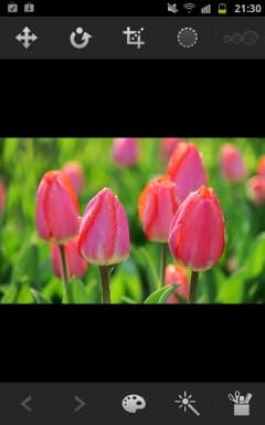 Galaxy Note, редактор фото