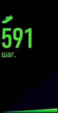 Скриншот Samsung Gear Fit2