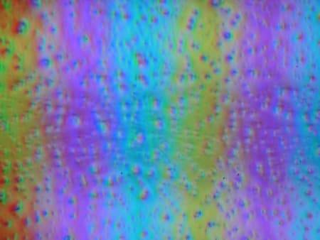 ЖК-монитор Asus PG248Q, Микрофотографии матрицы