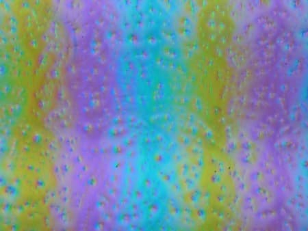 ЖК-монитор Asus PG258Q, Микрофотографии матрицы