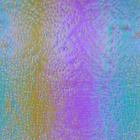 ЖК-монитор ASUS PG279Q, Микрофотографии матрицы