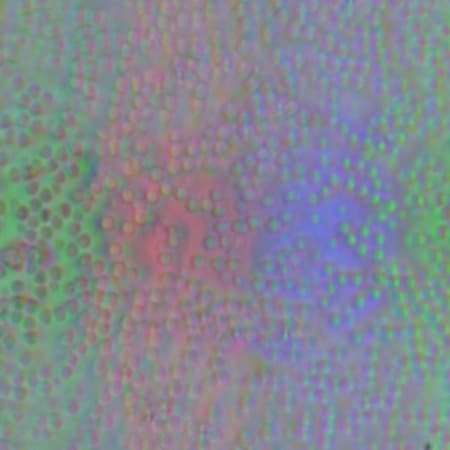 ЖК-монитор BenQ BL2711U, Микрофотографии матрицы