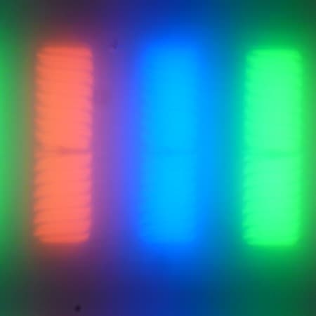 ЖК-монитор BenQ BL2711U, Микрофотографии матрицы