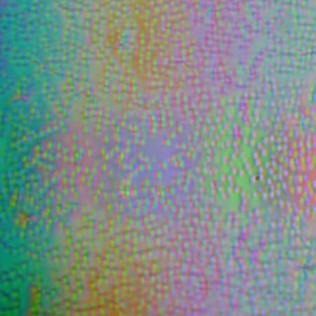 ЖК-монитор BenQ PD3200U, Микрофотографии матрицы