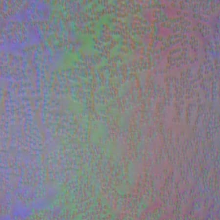 ЖК-монитор Eizo FlexScan EV2736W, Микрофотографии матрицы