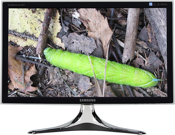 Все-таки заползла…