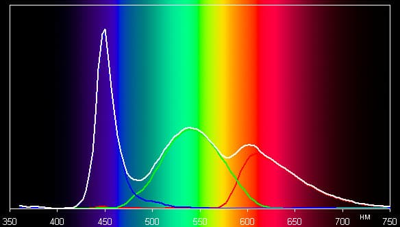 Spectrum
