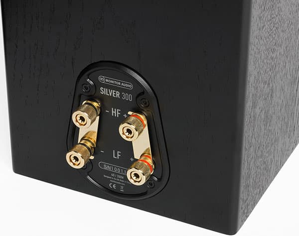 напольные колонки Monitor Audio Silver 300