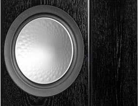 напольные колонки Monitor Audio Silver 300