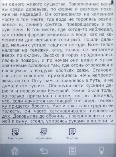 Электронная книга Digma S676