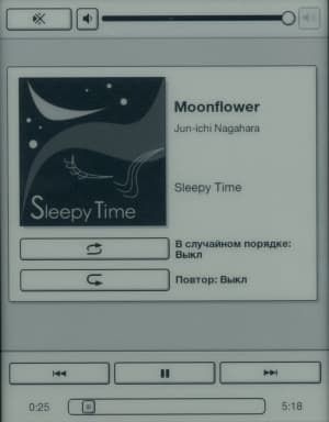 Электронная книга Sony Reader PRS-T1 - проигрыватель