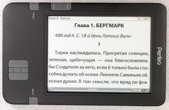 Электронная книга (читалка) Perfeo PBB-608W с экраном Pearl и Wi-Fi