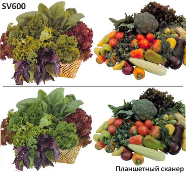 Сканер Fujitsu ScanSnap SV600, тестирование