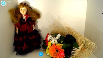 Система конференц-связи Logitech ConferenceCam Connect