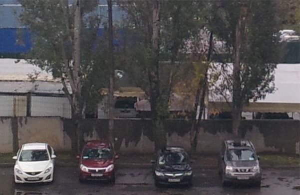 Снимок на тыловую камеру ASUS Padfone