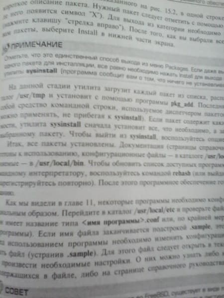 Фотография тыловой камерой планшета Fly Flylife 8