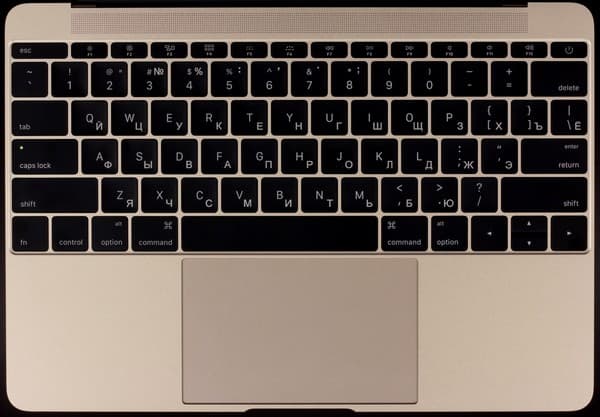 12-дюймовый ноутбук Apple MacBook Retina (Early 2015)