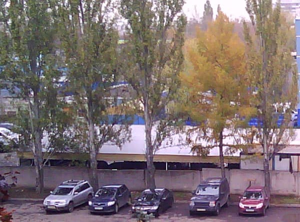 Снимок на тыловую камеру планшета Prology Evolution Tab-900 3G HD