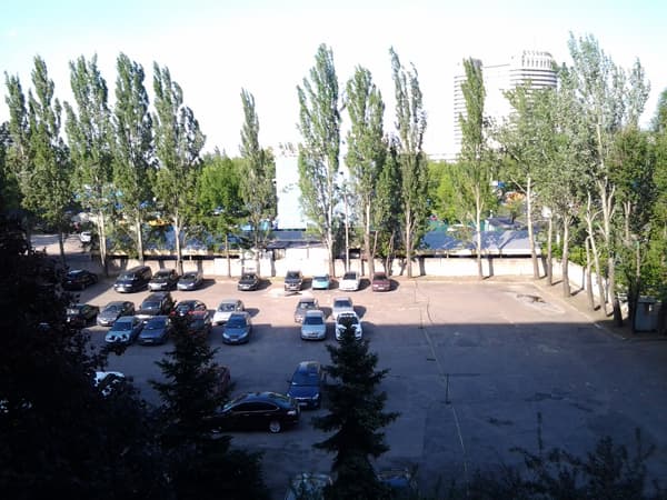 Фотография, сделанная на тыловую камеру планшета Samsung Galaxy Tab 8.9 LTE