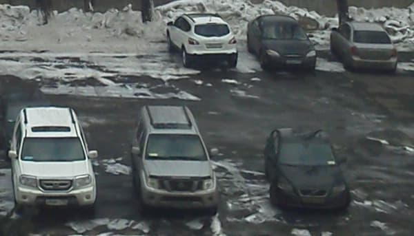 Фрагмент фотографии, сделанной на тыловую камеру планшета Sony Tablet S