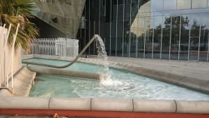 Камеры планшета Sony Xperia Z3 Tablet Compact