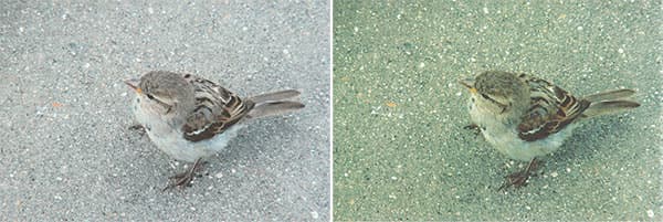 Canon Pixma G3400, копирование