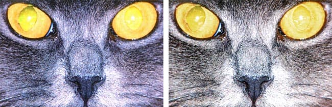 Canon imageRunner Advance C3520i, печать