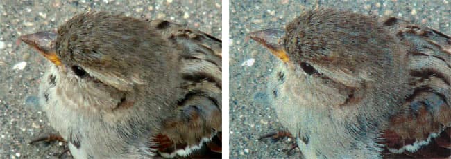 Canon i-Sensys MF628Cw, печать