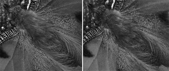 Canon i-Sensys MF628Cw, печать