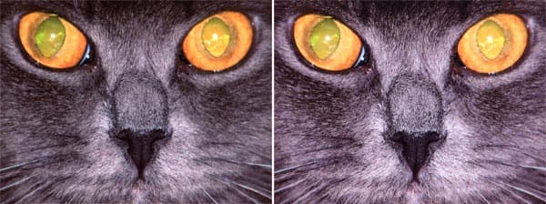 Фотопечать