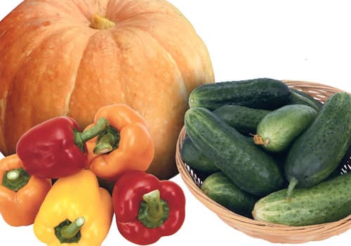 Epson L805, фотопечать