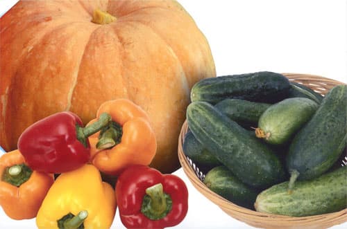 Epson WF-100W, печать