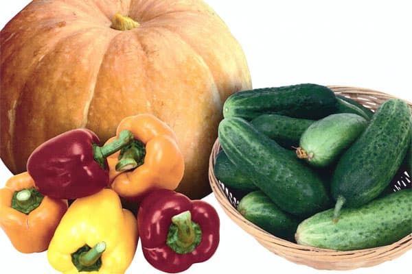 Принтер HP Color LaserJet Enterprise M553dn, печать фото