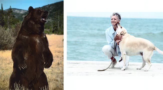 Принтер HP Color LaserJet Enterprise M553dn, печать фото