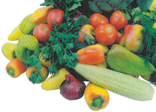 Konica Minolta bizhub C227, Копирование