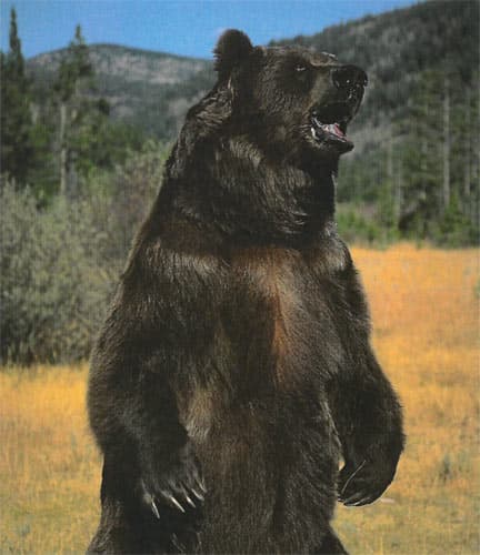 Konica Minolta bizhub C227, печать