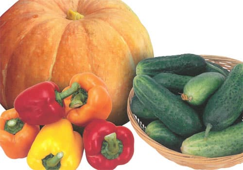 Konica Minolta bizhub C227, печать