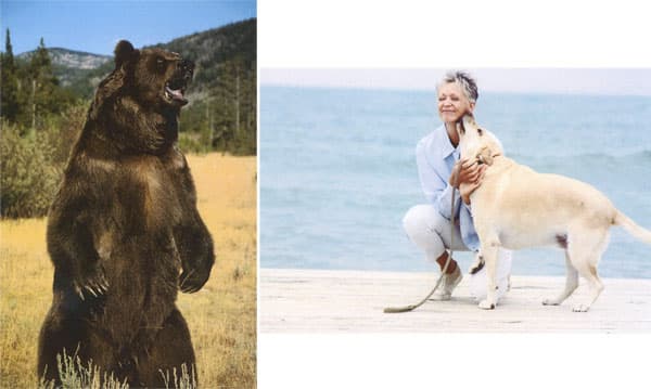 Lexmark CS725de, Печать