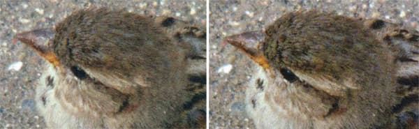 Lexmark CS725de, Печать