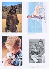 PostScript, ProQ 2400