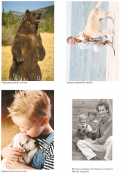 Xerox Phaser 7500N, качество отпечатков, фотографии, тонкая бумага