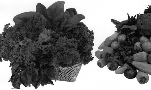 МФУ Xerox WC3225DNI, образцы печати МФУ Xerox WC3225DNI, образцы печати