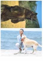 Xerox Colotech Plus Silk Coated, образцы печати