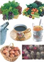 Xerox Colotech Plus Silk Coated, образцы печати