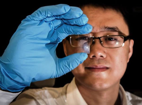 Специалисты NTU создали графеновый датчик изображения