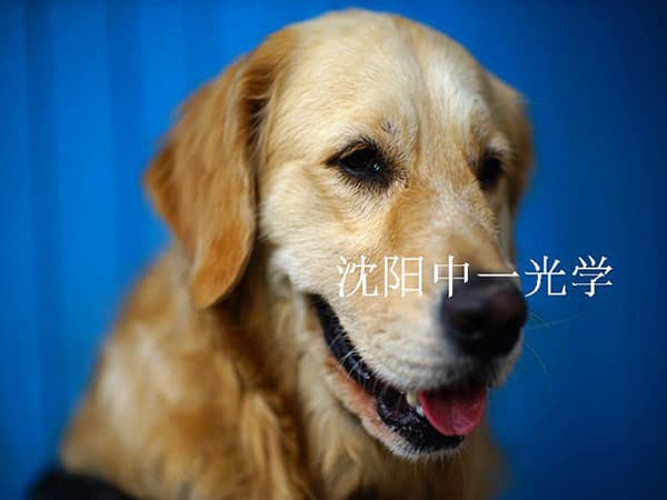 Оптическая схема объектива Mitakon Speedmaster 85mm F/1,2 включает девять элементов в шести группах