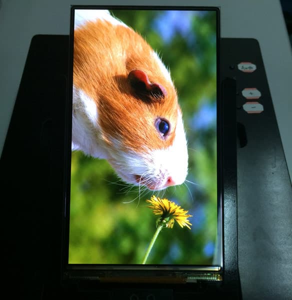 Пока только Samsung и LG способны выпускать панели AMOLED высокого разрешения