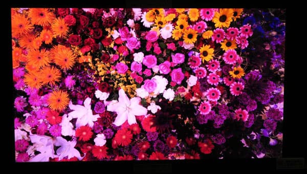 В Японии создан дисплей, почти полностью охватывающий цветовое пространство BT.2020